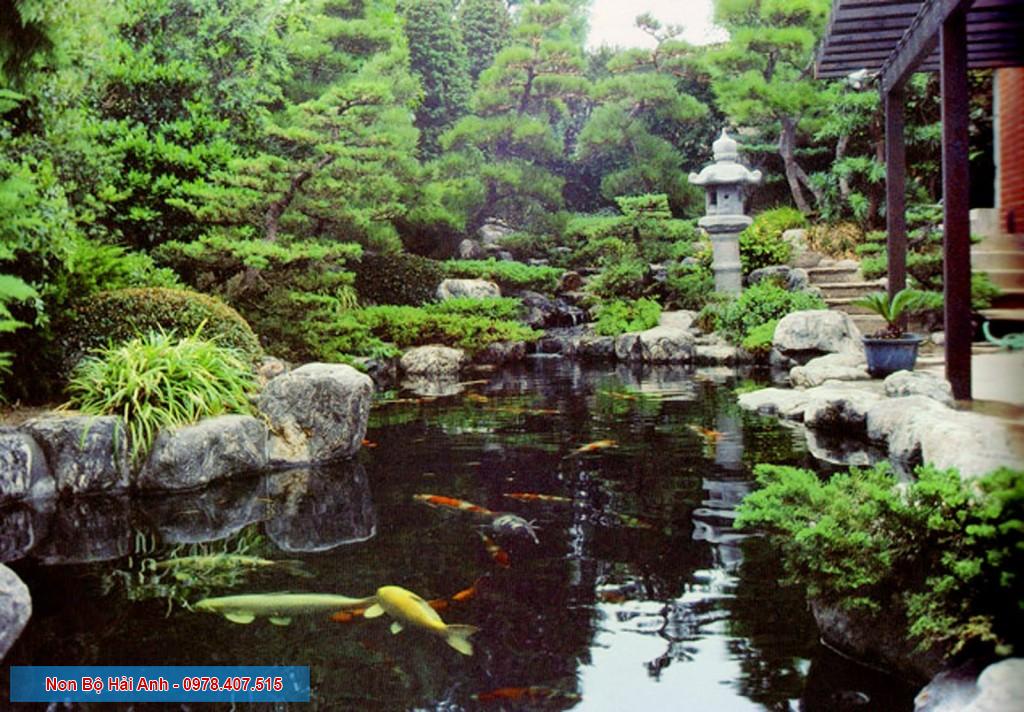 ho ca koi haianhstone (9)